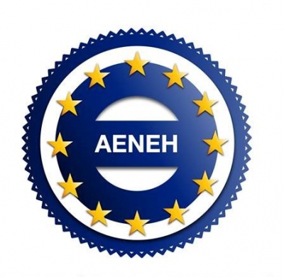 logo Academia Europea de Neurociencias, EconomÃ­a y Humanidades (AENEH) â€” EspaÃ±a
