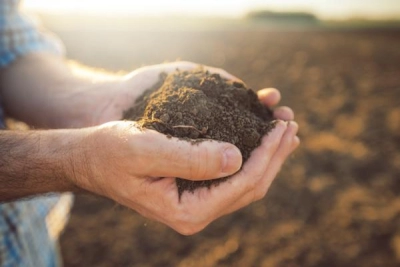 Capacitación en Abonos Orgánicos para cultivos ecológic...
