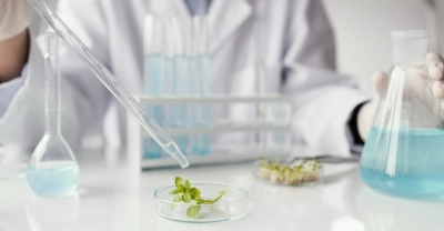 CapacitaciÃ³n en BiotecnologÃ­a Industrial
