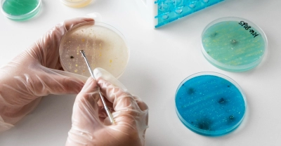 TÃ©cnico Auxiliar en Laboratorio de AnatomÃ­a PatolÃ�...