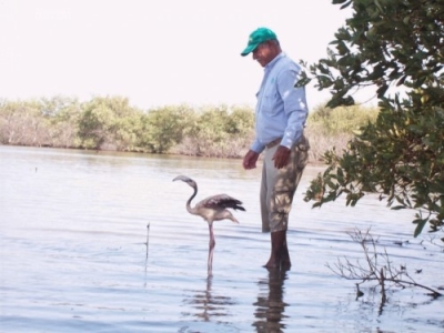Guardafauna e Instructor de Vida Silvestre