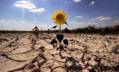 CapacitaciÃ³n en Impacto Ambiental
