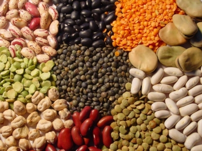 CapacitaciÃ³n en Clasificador de Cereales