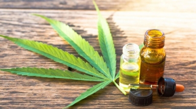 Capacitación en Cannabis Medicinal