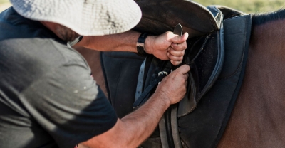 TÃ©cnico Auxiliar en PreparaciÃ³n e higiene de Caballo...