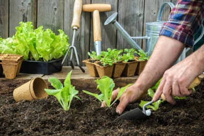 IntroducciÃ³n para la carrera de Fruticultura y Horticultura