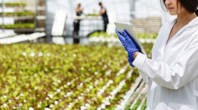 IntroducciÃ³n a la carrera de IngenierÃ­a Agroalimentaria 