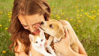 CapacitaciÃ³n en Sanidad y Ropa de Canino y Felino