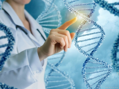 TÃ©cnico Auxiliar en GenÃ©tica y BiologÃ­a Molecular