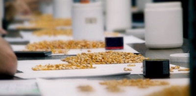 Perito Auxiliar Clasificador en Cereales, Oleaginosas y Le...