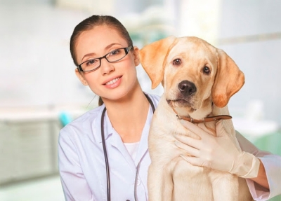 IntroducciÃ³n para la Carrera de Veterinaria