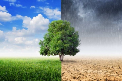 CapacitaciÃ³n en Cambio ClimÃ¡tico