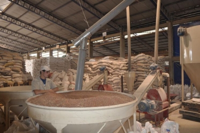Especialista en ElaboraciÃ³n de Alimentos Balanceados pa...
