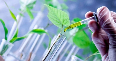 IntroducciÃ³n a la carrera de BiotecnologÃ­a