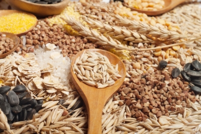 CapacitaciÃ³n en AlimentaciÃ³n Humana