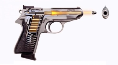CapacitaciÃ³n en BalÃ­stica y Armas PortÃ¡tiles