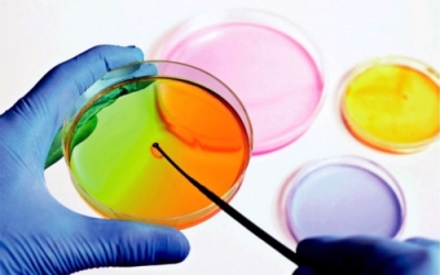 CapacitaciÃ³n en MicrobiologÃ­a