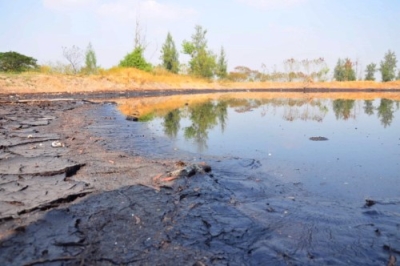 CapacitaciÃ³n en Suelos Contaminados
