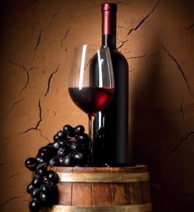 CapacitaciÃ³n en ElaboraciÃ³n de Vinos Artesanales
