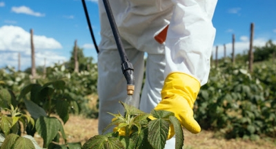 CapacitaciÃ³n en Control Fitosanitarios en Plantas