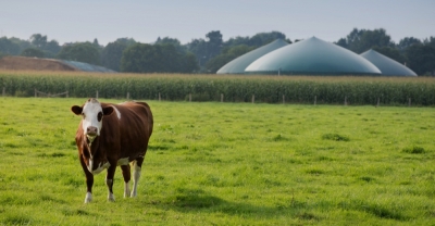 Curso de BiogÃ¡s y Biodigestores