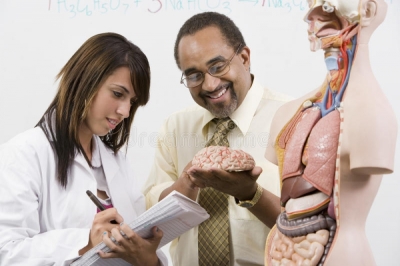 IntroducciÃ³n a la carrera de AnatomÃ­a humana