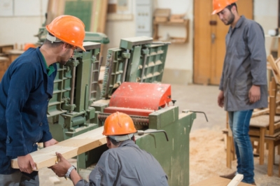 TÃ©cnico Auxiliar Forestal y en Industria de la Madera