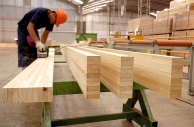 CapacitaciÃ³n Forestal y en Industria de la Madera