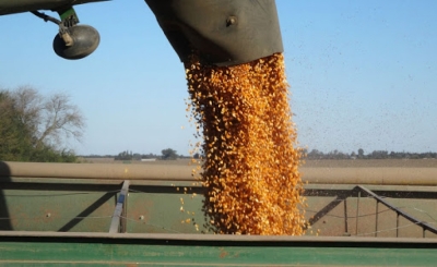 IntroducciÃ³n para la carrera de Perito en Cereales y Oleaginosas