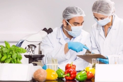 Auxiliar de Laboratorio - MicrobiologÃ­a de los Alimentos