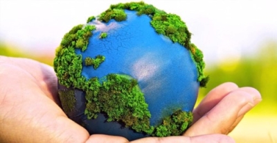 Perito Auditor en Impacto ambiental