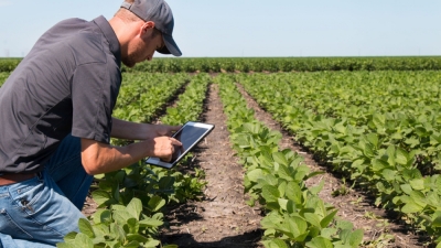 IntroducciÃ³n a la carrera de AdministraciÃ³n Agraria 