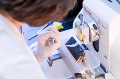 CapacitaciÃ³n en AnatomÃ­a PatolÃ³gica