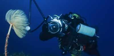 CapacitaciÃ³n en OceanografÃ­a