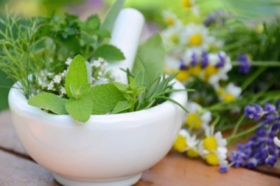CapacitaciÃ³n en Plantas Medicinales