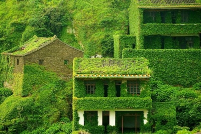 CertificaciÃ³n en ConstrucciÃ³n de Casas EcolÃ³gicas...