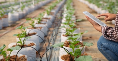 Especialista en GestiÃ³n y Cultivo en Invernaderos