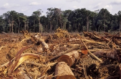 CapacitaciÃ³n en ExplotaciÃ³n e Impacto Ambiental
