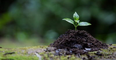 Diplomatura en Biodiversidad y ConservaciÃ³n del Medio N...