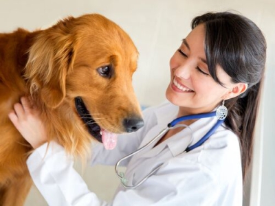 TÃ©cnico Auxiliar en ClÃ­nicas Veterinarias