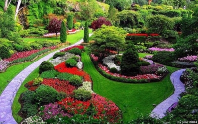 JardinerÃ­a y Paisajismo