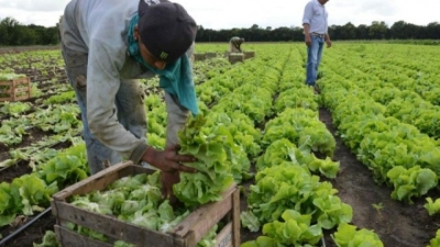 CapacitaciÃ³n en Horticultura